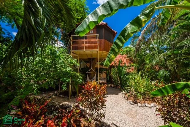 Casa Tropical - Boutique hotel frente a calle principal hacia Playa Grande