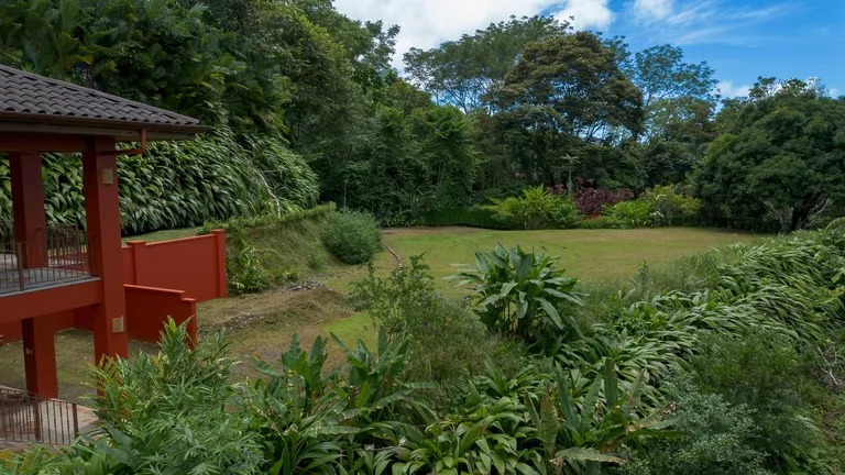Build-Ready Ocean View Land with Guest House & Fruit Orchard | Tres Rios, Costa Rica, photo 2
