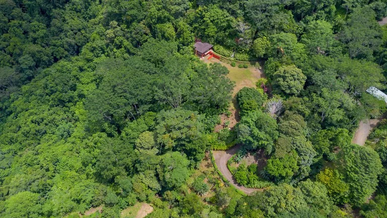 Build-Ready Ocean View Land with Guest House & Fruit Orchard | Tres Rios, Costa Rica, photo 11
