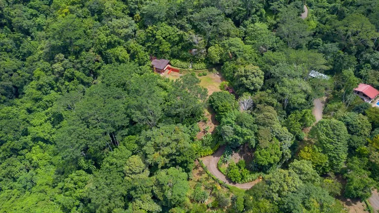Build-Ready Ocean View Land with Guest House & Fruit Orchard | Tres Rios, Costa Rica, photo 12