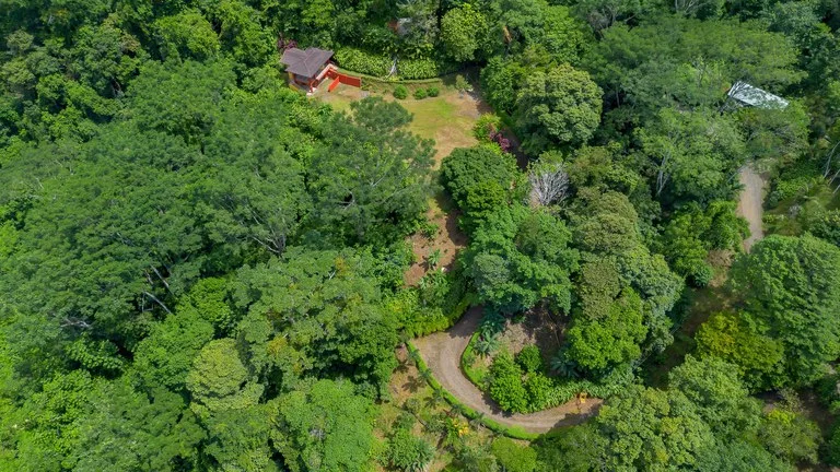 Build-Ready Ocean View Land with Guest House & Fruit Orchard | Tres Rios, Costa Rica, photo 13