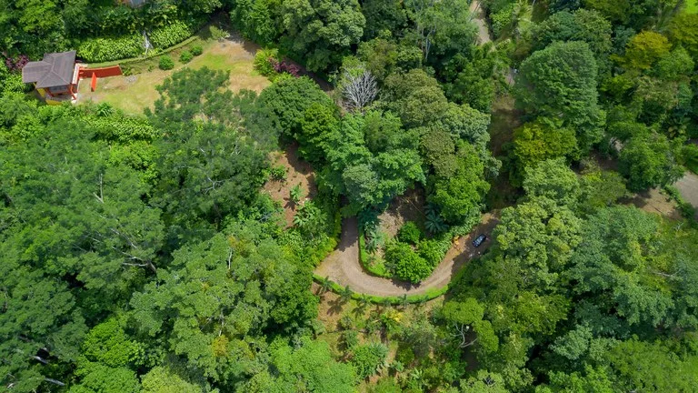 Build-Ready Ocean View Land with Guest House & Fruit Orchard | Tres Rios, Costa Rica, photo 14