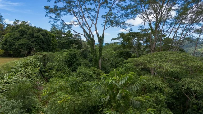 Build-Ready Ocean View Land with Guest House & Fruit Orchard | Tres Rios, Costa Rica, photo 3