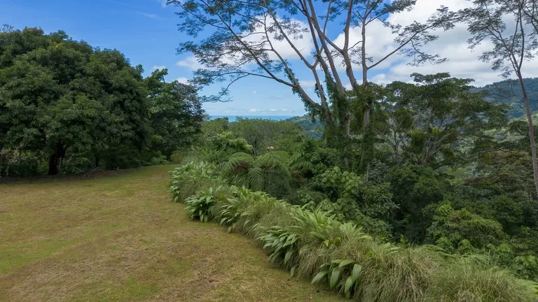 Build-Ready Ocean View Land with Guest House & Fruit Orchard | Tres Rios, Costa Rica, photo 4