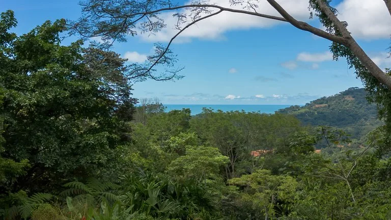 Build-Ready Ocean View Land with Guest House & Fruit Orchard | Tres Rios, Costa Rica, photo 5