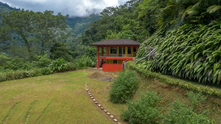 Build-Ready Ocean View Land with Guest House & Fruit Orchard | Tres Rios, Costa Rica, photo 7