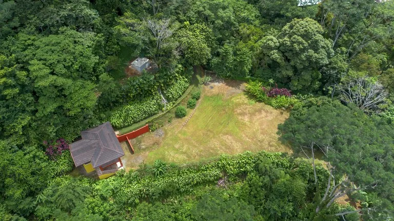 Build-Ready Ocean View Land with Guest House & Fruit Orchard | Tres Rios, Costa Rica, photo 8
