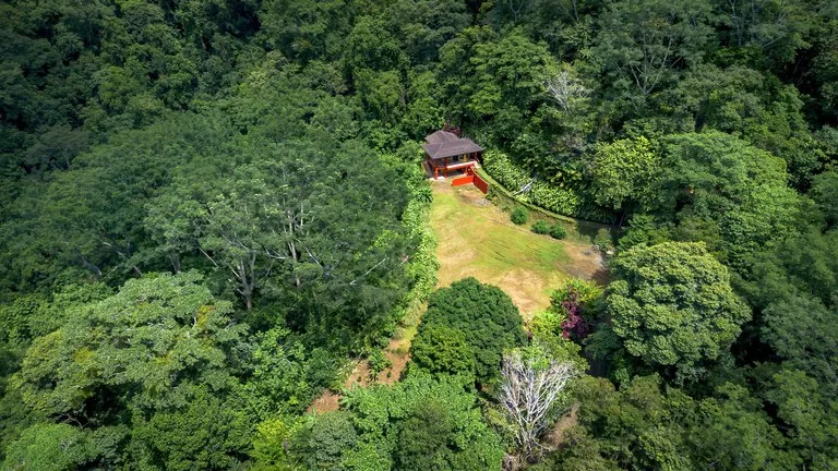 Build-Ready Ocean View Land with Guest House & Fruit Orchard | Tres Rios, Costa Rica, photo 9