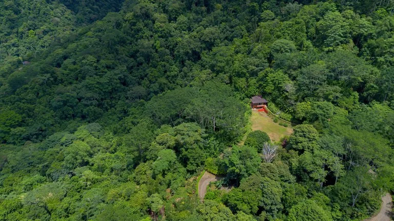 Build-Ready Ocean View Land with Guest House & Fruit Orchard | Tres Rios, Costa Rica, photo 10