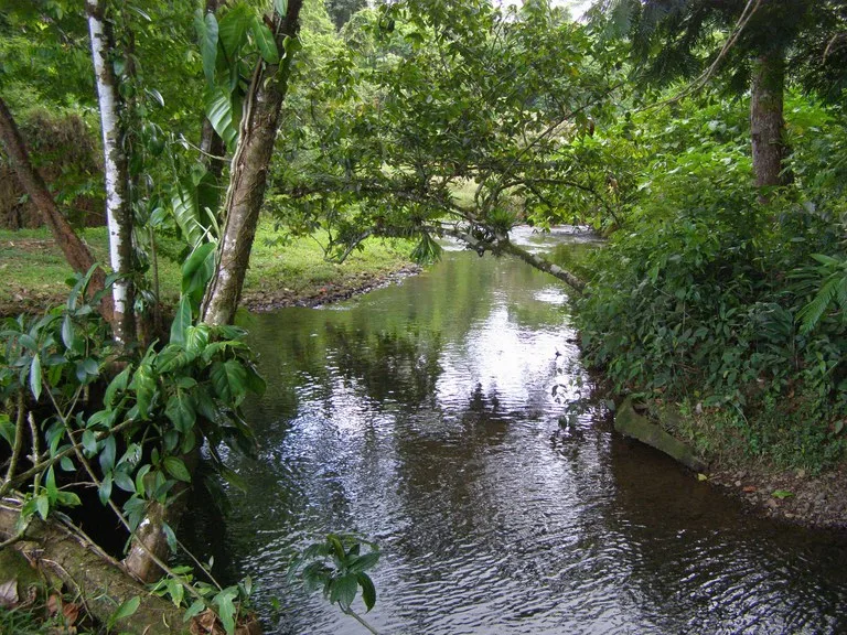 ECO SENDEROS: PRIVATE RAINFOREST RESERVE | 33 HA, LA VIRGEN DE SARAPIQUÍ