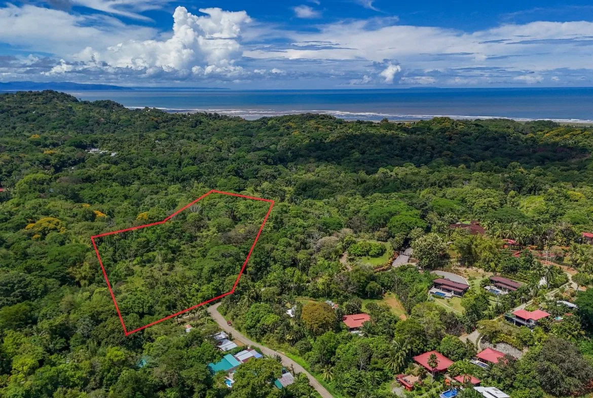 PROPERTY WITH MOUNTAIN VIEW, IN OJOCHAL – 3.92 ACRES, photo 2