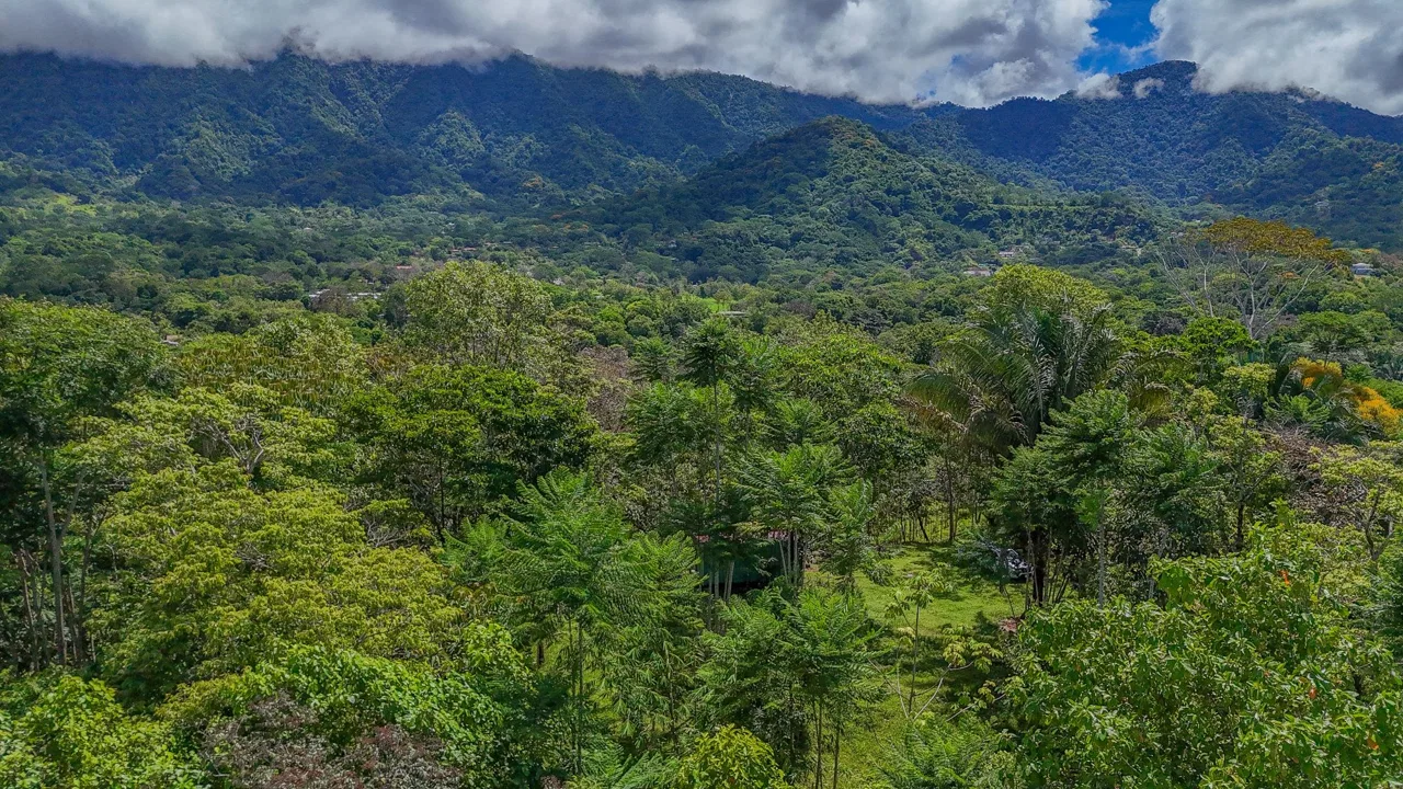 PROPERTY WITH MOUNTAIN VIEW, IN OJOCHAL – 3.92 ACRES, photo 11