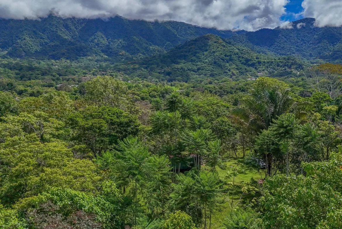 PROPERTY WITH MOUNTAIN VIEW, IN OJOCHAL – 3.92 ACRES, photo 12