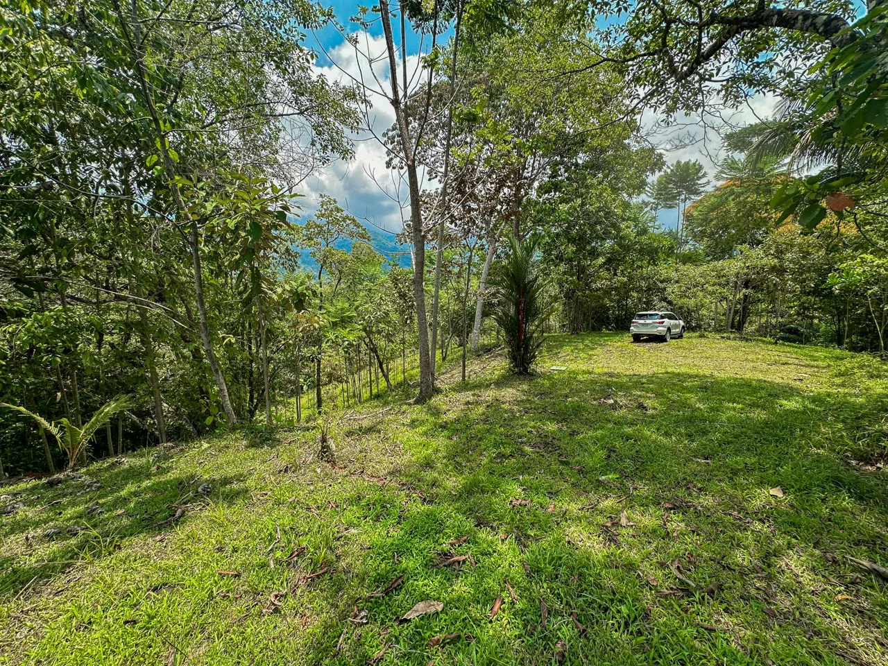 PROPERTY WITH MOUNTAIN VIEW, IN OJOCHAL – 3.92 ACRES, photo 17