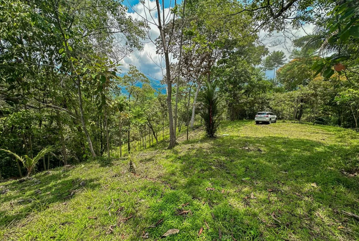 PROPERTY WITH MOUNTAIN VIEW, IN OJOCHAL – 3.92 ACRES, photo 18