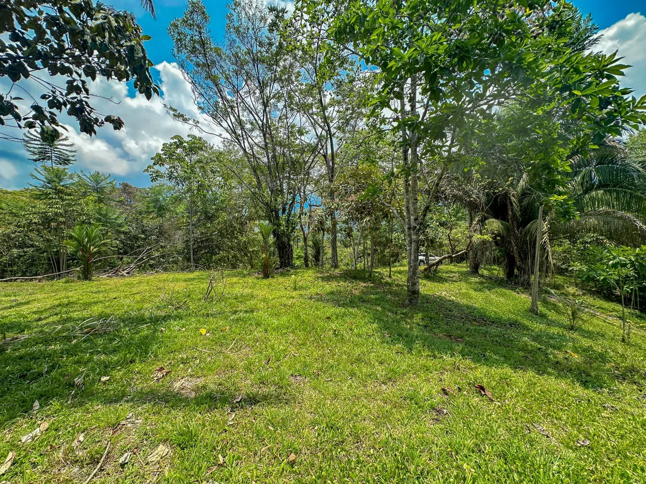 PROPERTY WITH MOUNTAIN VIEW, IN OJOCHAL – 3.92 ACRES, photo 19
