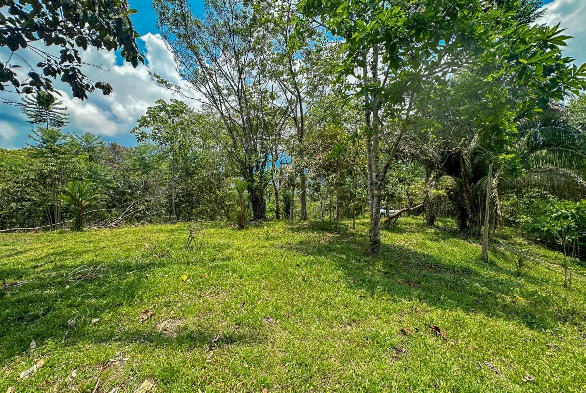 PROPERTY WITH MOUNTAIN VIEW, IN OJOCHAL – 3.92 ACRES, photo 20