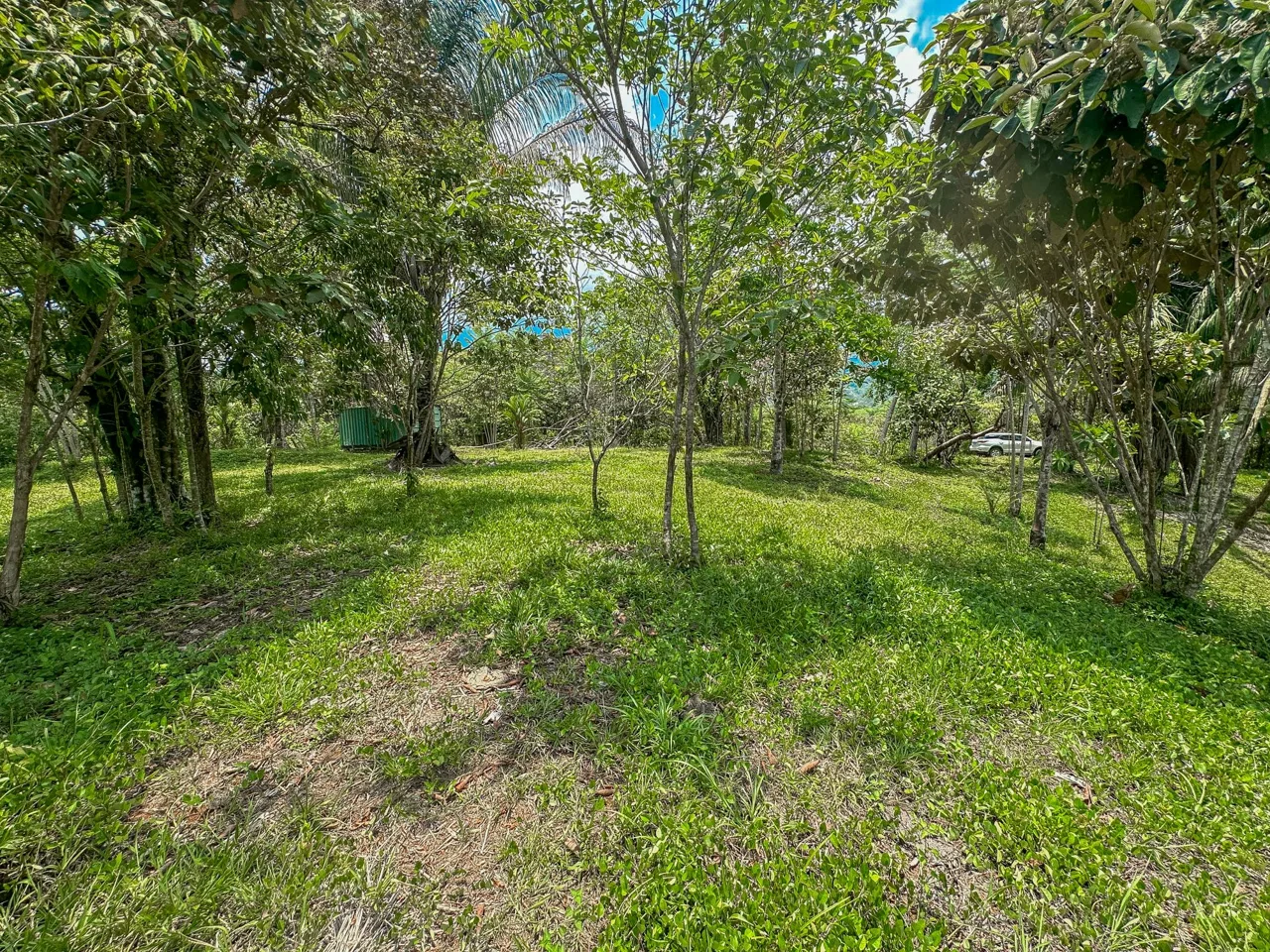 PROPERTY WITH MOUNTAIN VIEW, IN OJOCHAL – 3.92 ACRES, photo 21