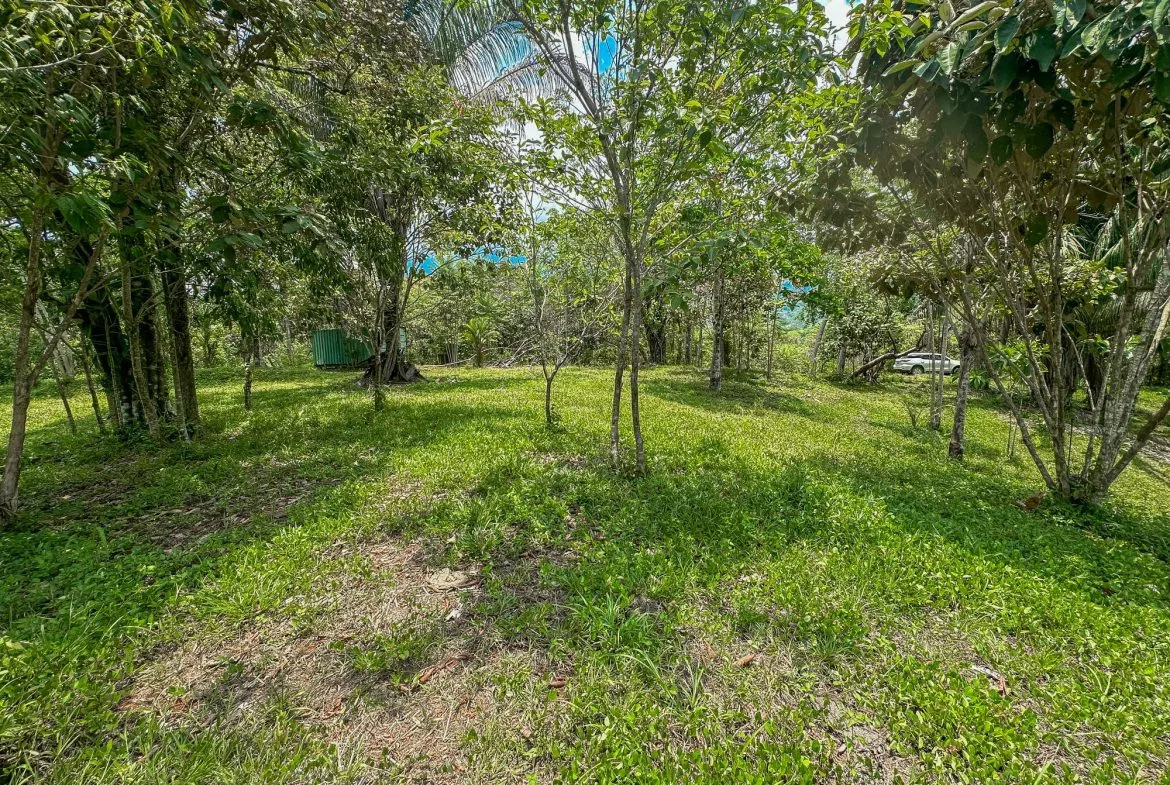 PROPERTY WITH MOUNTAIN VIEW, IN OJOCHAL – 3.92 ACRES, photo 22