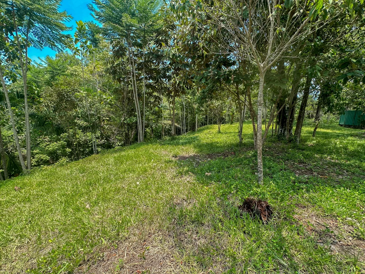 PROPERTY WITH MOUNTAIN VIEW, IN OJOCHAL – 3.92 ACRES, photo 23