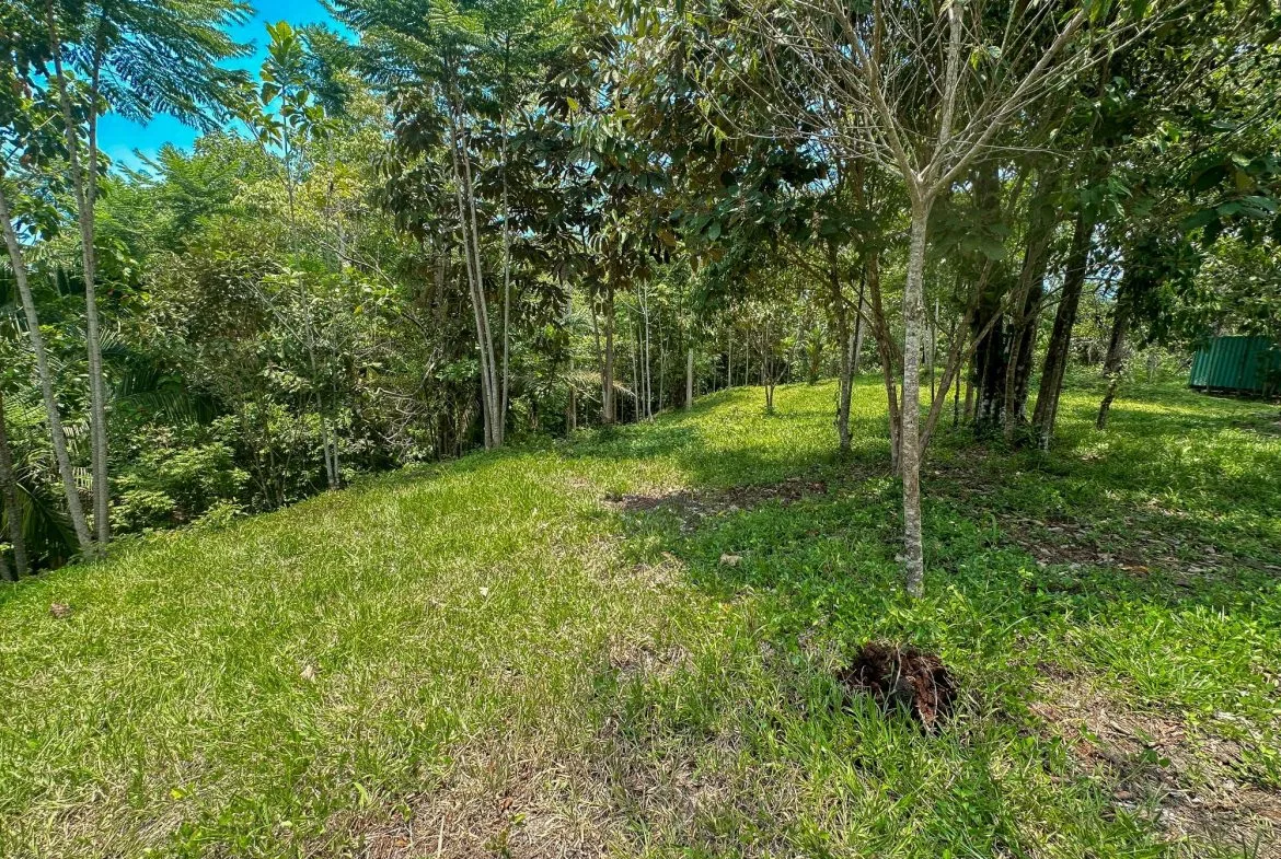 PROPERTY WITH MOUNTAIN VIEW, IN OJOCHAL – 3.92 ACRES, photo 24