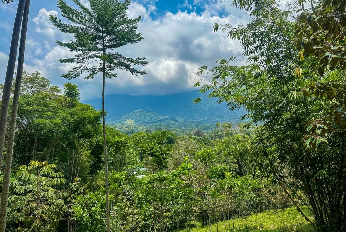 PROPERTY WITH MOUNTAIN VIEW, IN OJOCHAL – 3.92 ACRES, photo 4