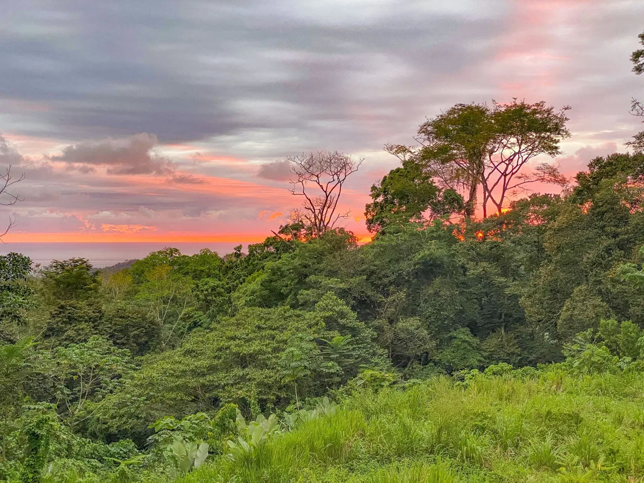 PROPERTY WITH MOUNTAIN VIEW, IN OJOCHAL – 3.92 ACRES, photo 7