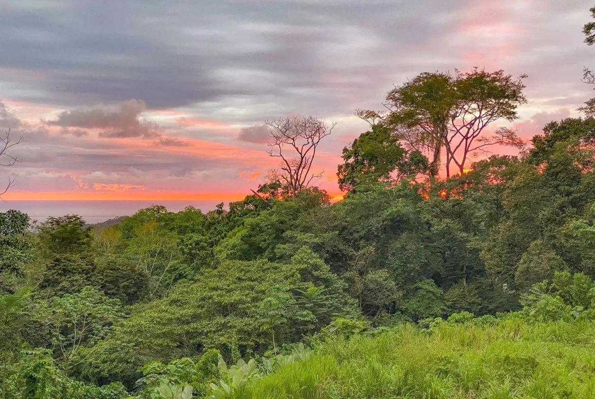 PROPERTY WITH MOUNTAIN VIEW, IN OJOCHAL – 3.92 ACRES, photo 8