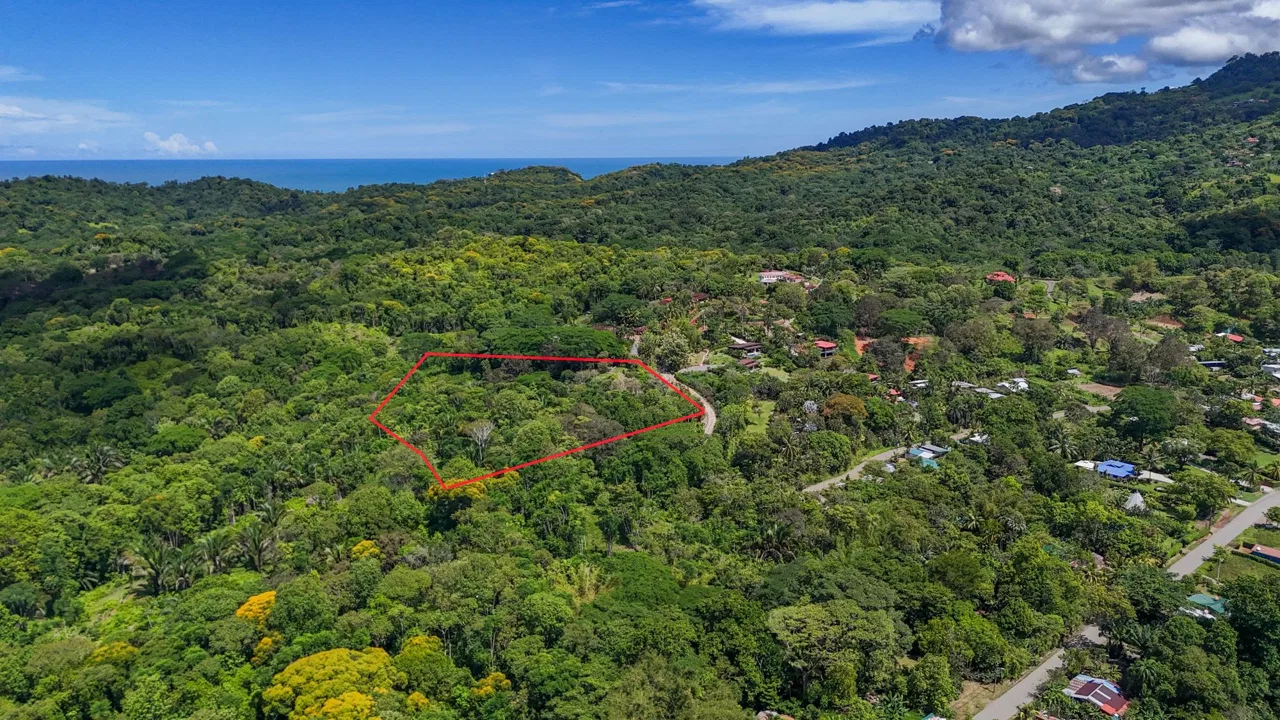 PROPERTY WITH MOUNTAIN VIEW, IN OJOCHAL – 3.92 ACRES, photo 9