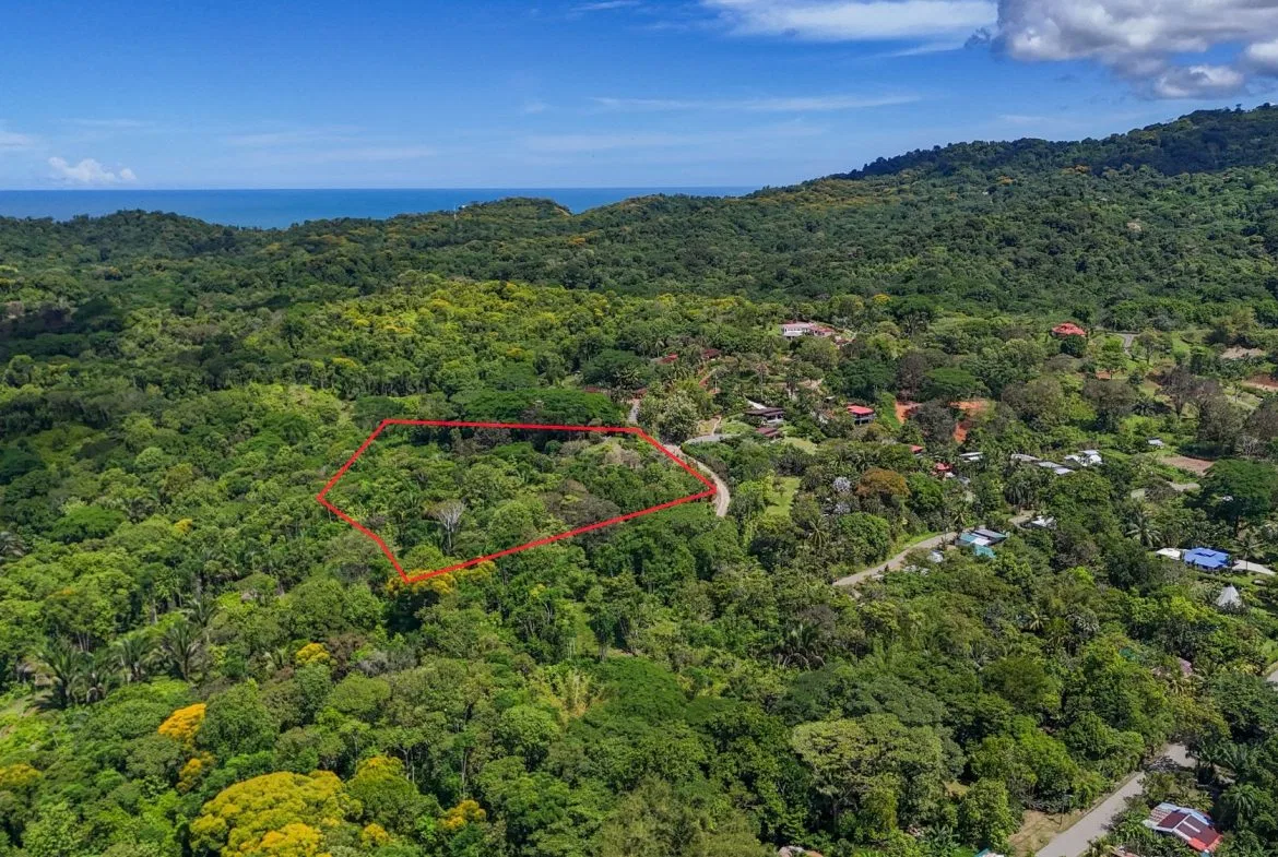PROPERTY WITH MOUNTAIN VIEW, IN OJOCHAL – 3.92 ACRES, photo 10