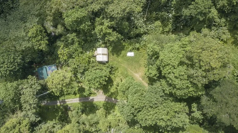 Multiplex in Hone Creek