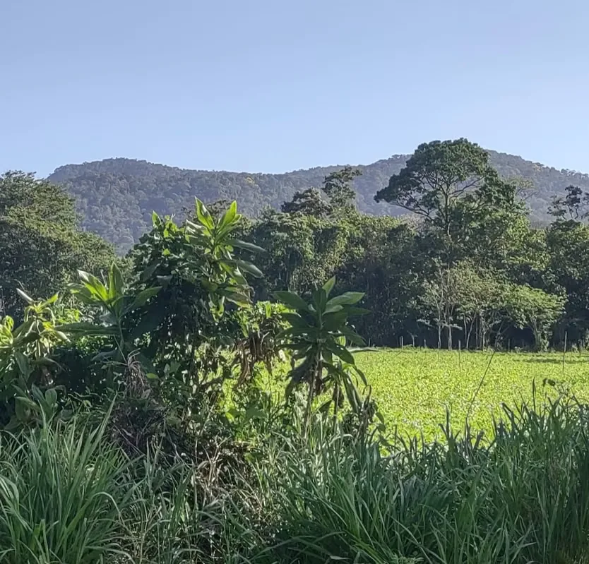 Lots for sale at Aguas Claras with view to volcanos, Upala, Alajuela, photo 11
