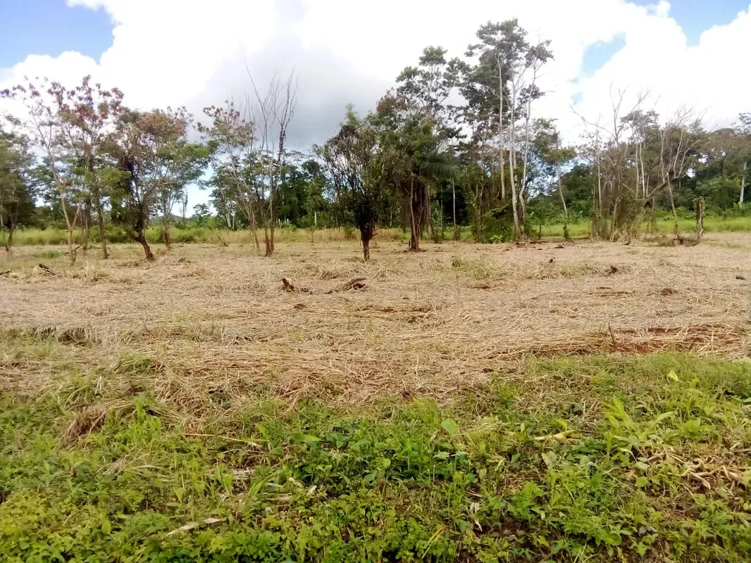 Lots for sale at Aguas Claras with view to volcanos, Upala, Alajuela, photo 12