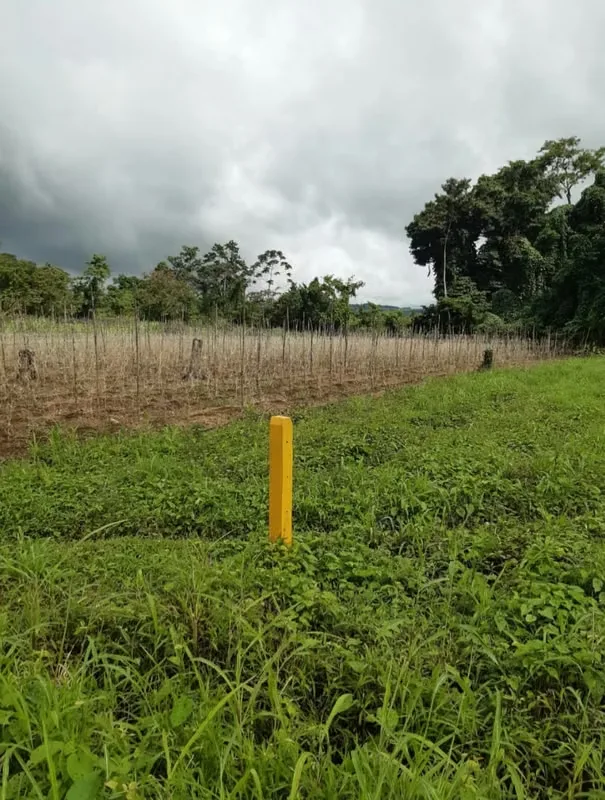 Lots for sale at Aguas Claras with view to volcanos, Upala, Alajuela, photo 14