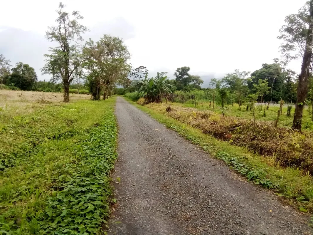 Lots for sale at Aguas Claras with view to volcanos, Upala, Alajuela, photo 15