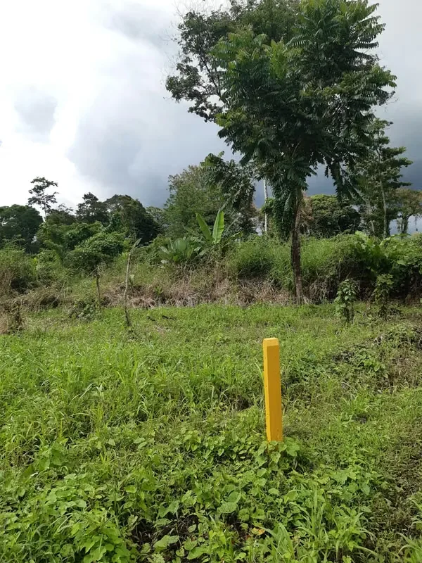Lots for sale at Aguas Claras with view to volcanos, Upala, Alajuela, photo 4