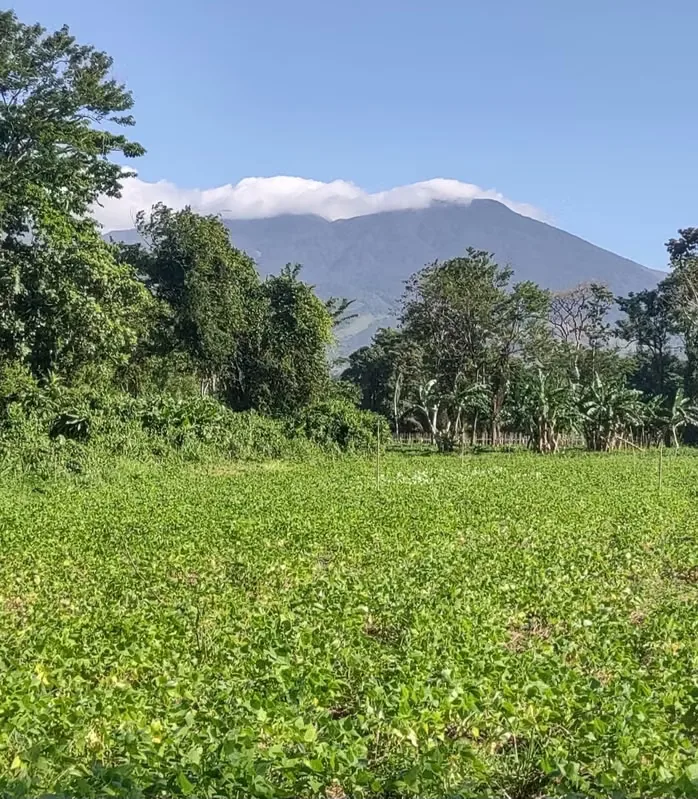 Lots for sale at Aguas Claras with view to volcanos, Upala, Alajuela, photo 6
