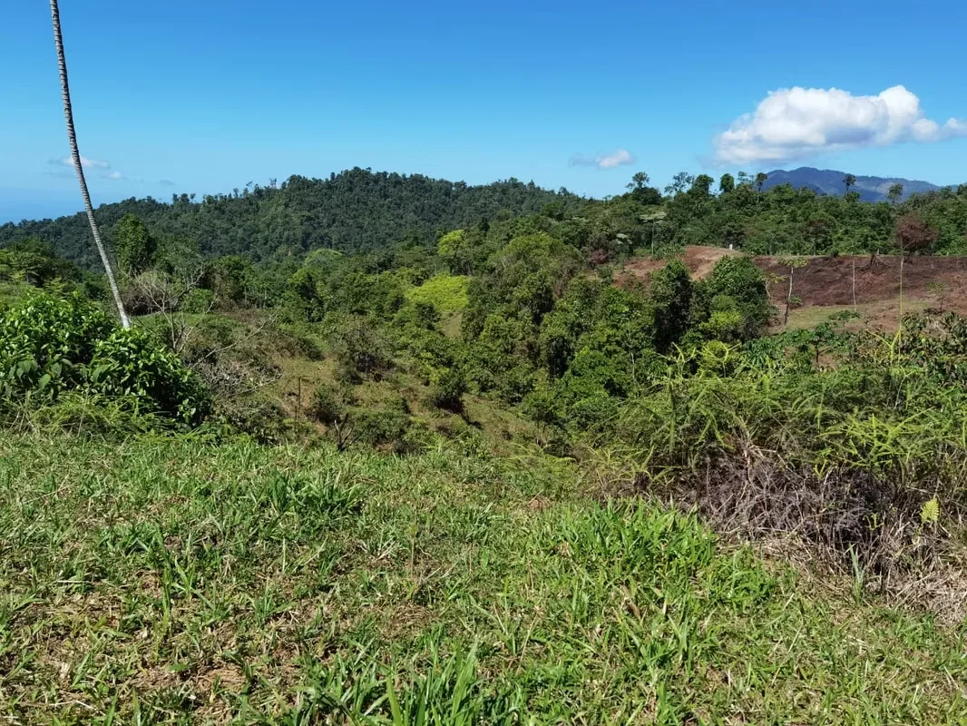 Discover a remarkable mountain property in Santa Juana, Quepos, where breathtaking natural beauty, year-round water, and panoramic Pacific Ocean views come together to create an ..., photo 2