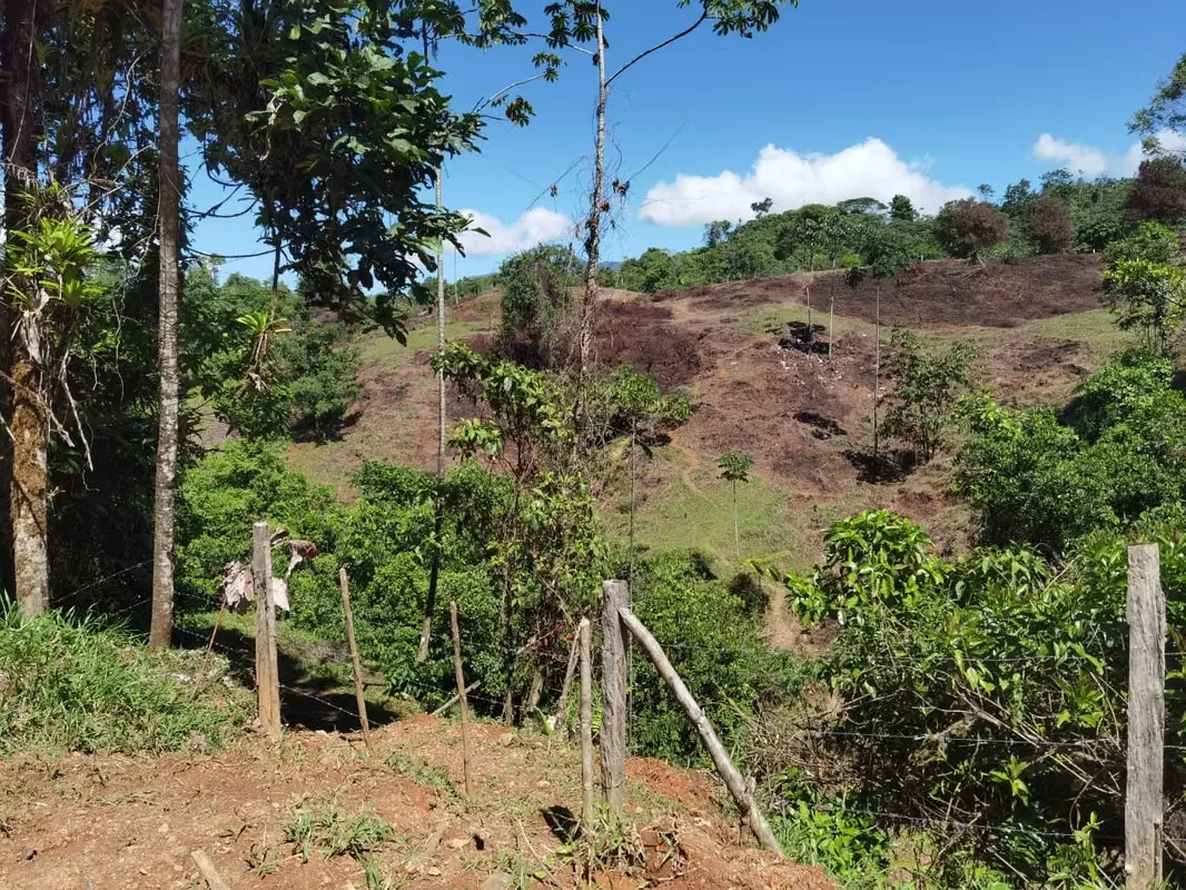 Discover a remarkable mountain property in Santa Juana, Quepos, where breathtaking natural beauty, year-round water, and panoramic Pacific Ocean views come together to create an ..., photo 11