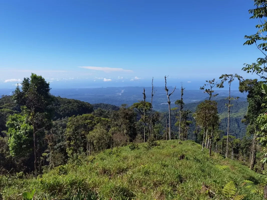 Discover a remarkable mountain property in Santa Juana, Quepos, where breathtaking natural beauty, year-round water, and panoramic Pacific Ocean views come together to create an ..., photo 12
