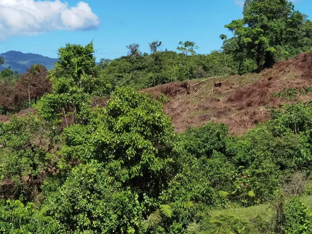 Discover a remarkable mountain property in Santa Juana, Quepos, where breathtaking natural beauty, year-round water, and panoramic Pacific Ocean views come together to create an ..., photo 14