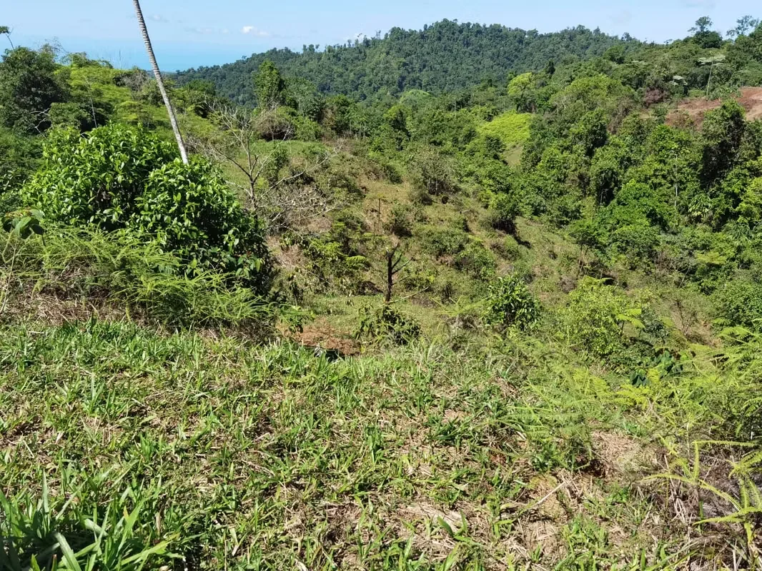 Discover a remarkable mountain property in Santa Juana, Quepos, where breathtaking natural beauty, year-round water, and panoramic Pacific Ocean views come together to create an ..., photo 15