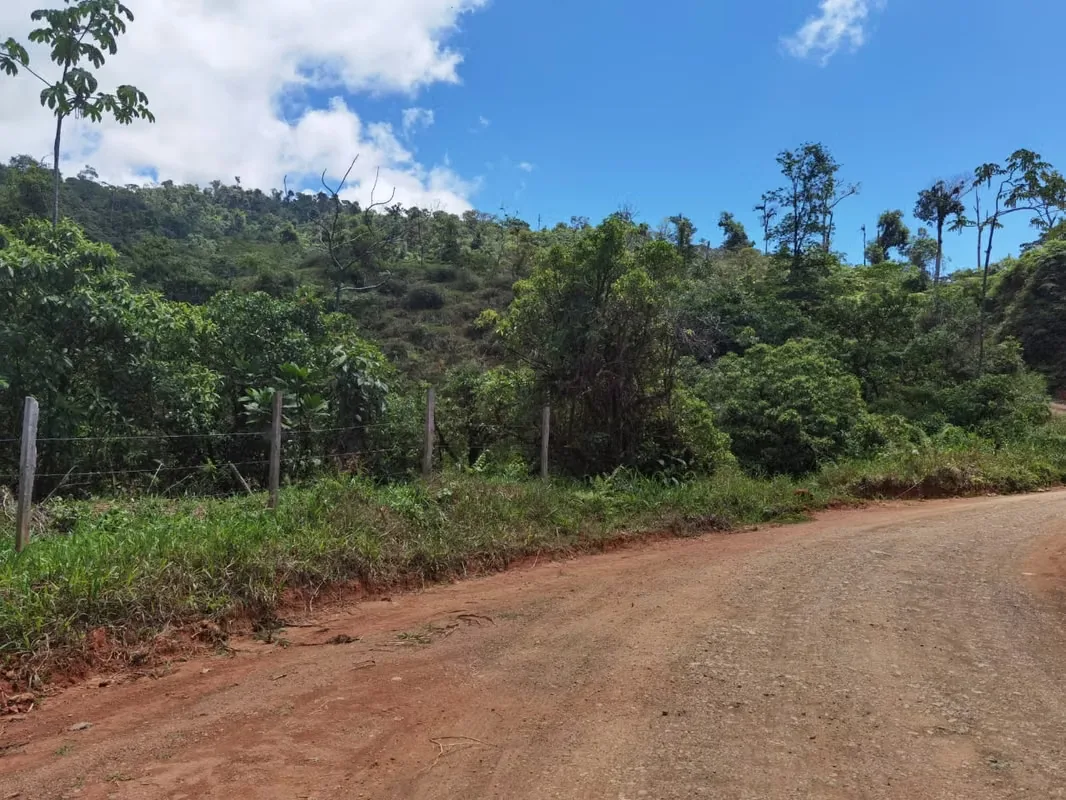 Discover a remarkable mountain property in Santa Juana, Quepos, where breathtaking natural beauty, year-round water, and panoramic Pacific Ocean views come together to create an ..., photo 3