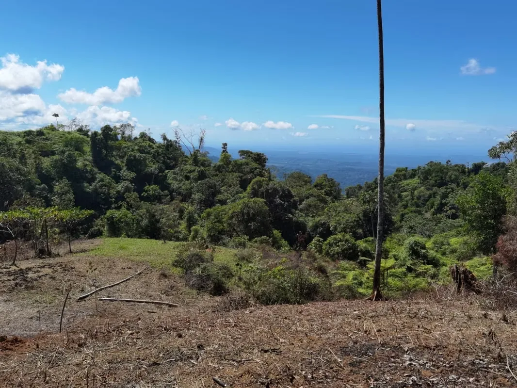 Discover a remarkable mountain property in Santa Juana, Quepos, where breathtaking natural beauty, year-round water, and panoramic Pacific Ocean views come together to create an ..., photo 4