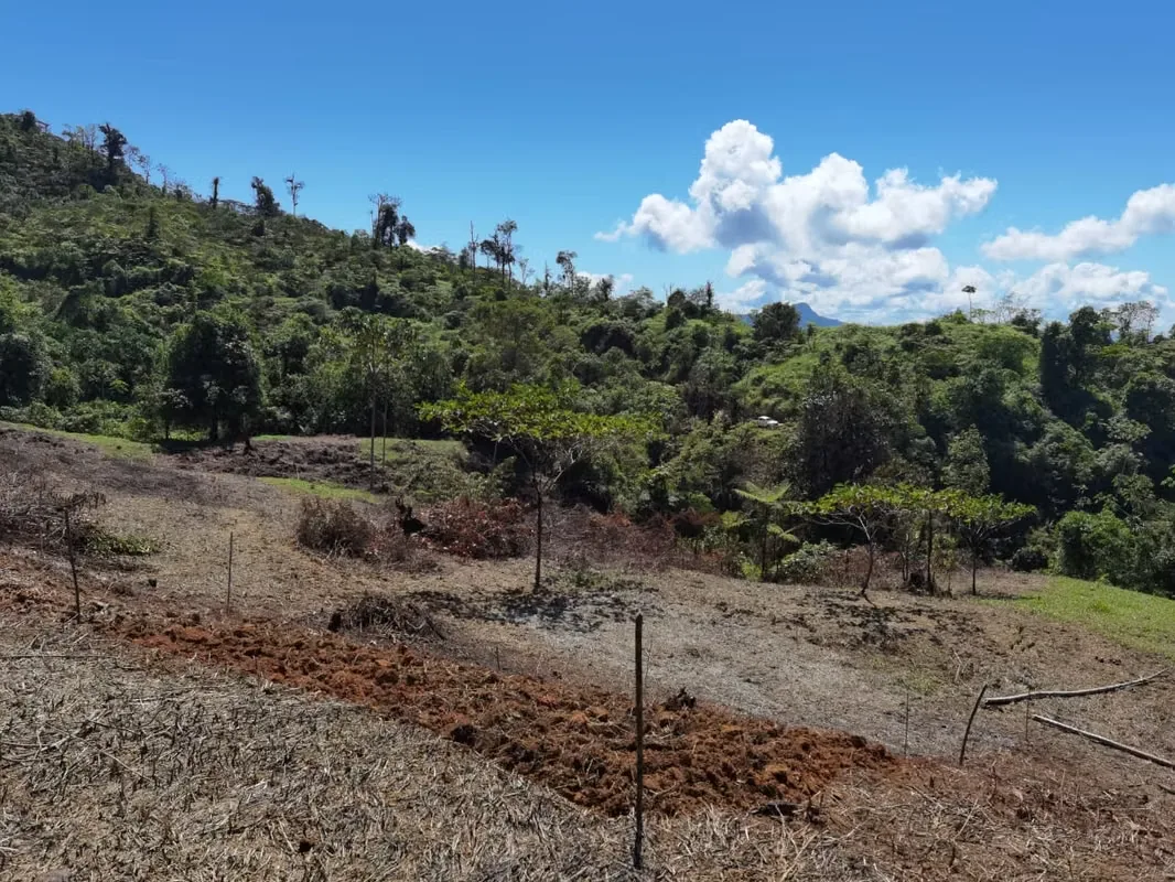 Discover a remarkable mountain property in Santa Juana, Quepos, where breathtaking natural beauty, year-round water, and panoramic Pacific Ocean views come together to create an ..., photo 6
