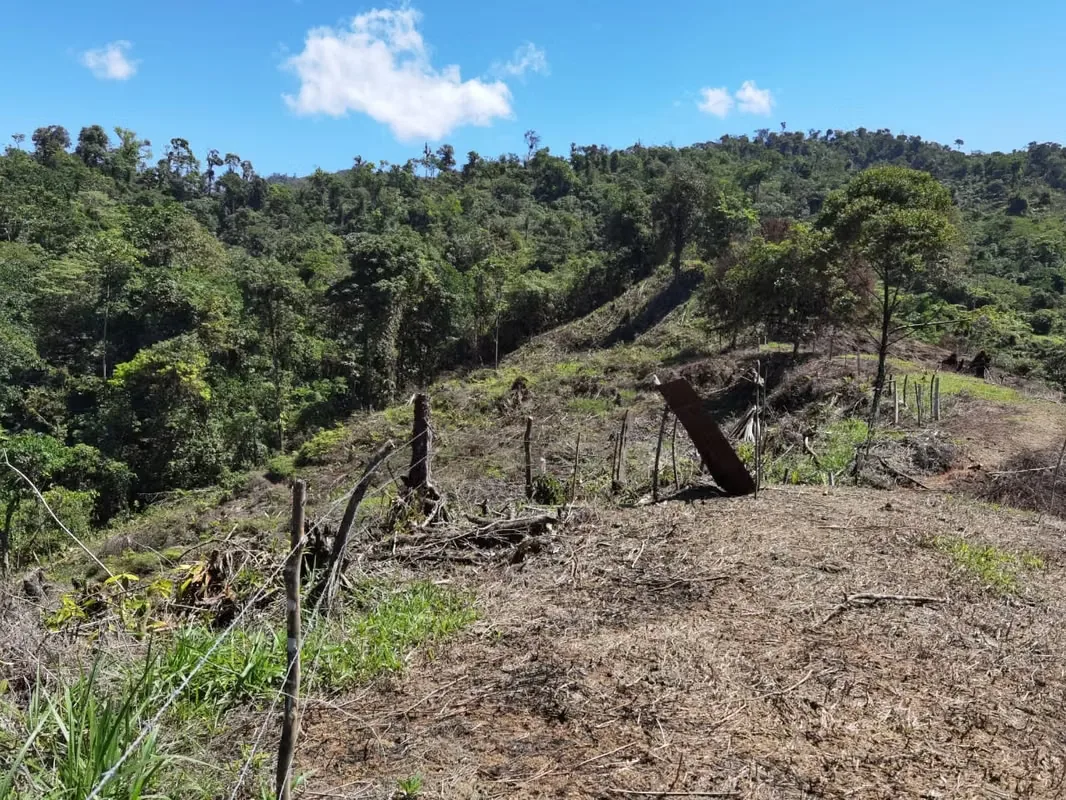 Discover a remarkable mountain property in Santa Juana, Quepos, where breathtaking natural beauty, year-round water, and panoramic Pacific Ocean views come together to create an ..., photo 8