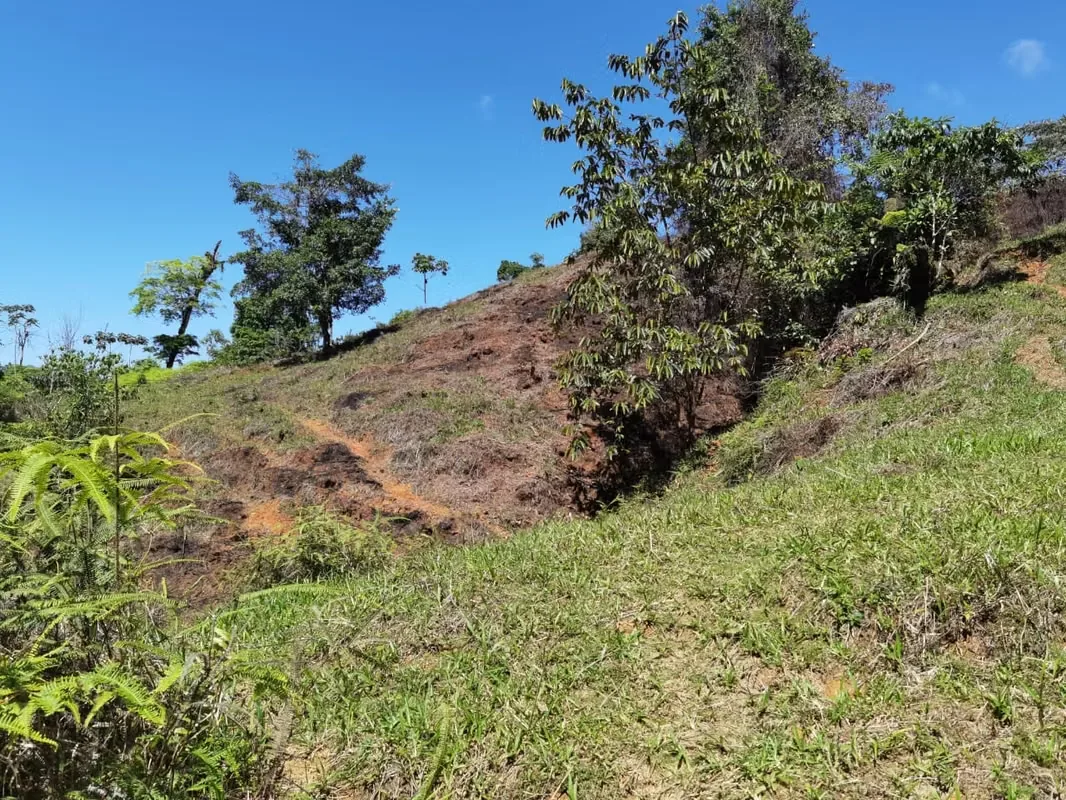 Discover a remarkable mountain property in Santa Juana, Quepos, where breathtaking natural beauty, year-round water, and panoramic Pacific Ocean views come together to create an ..., photo 9