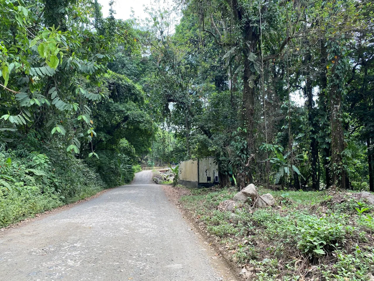 PROPERTY IN THE JUNGLE IN OJOCHAL – 1.82 ACRES, photo 7