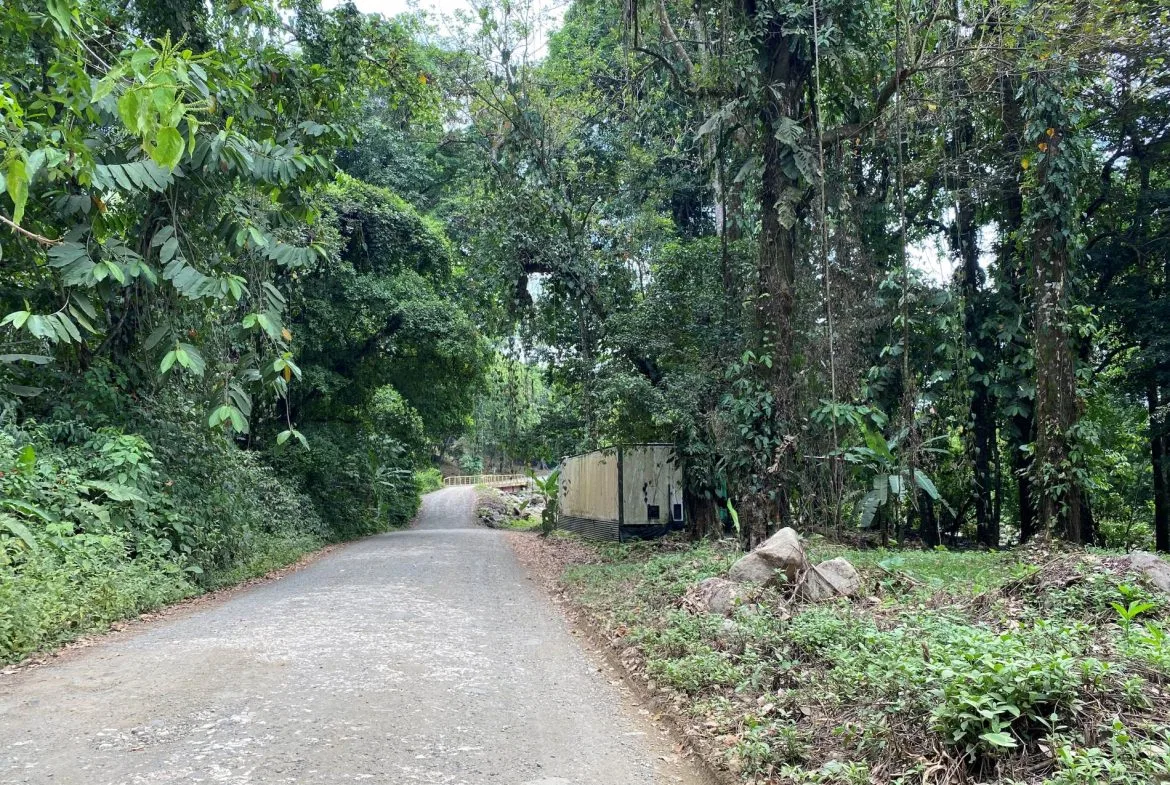 PROPERTY IN THE JUNGLE IN OJOCHAL – 1.82 ACRES, photo 8