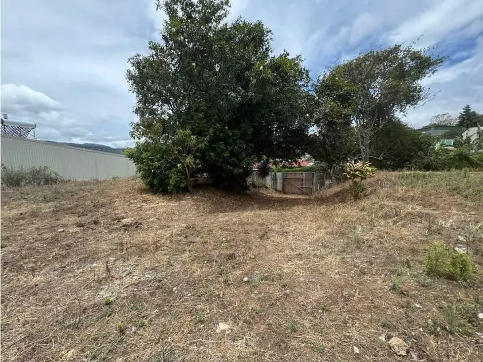Metraje: 509.02 m² (Tenemos 2 lotes disponibles), photo 5